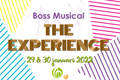 The Boss Musical Experience